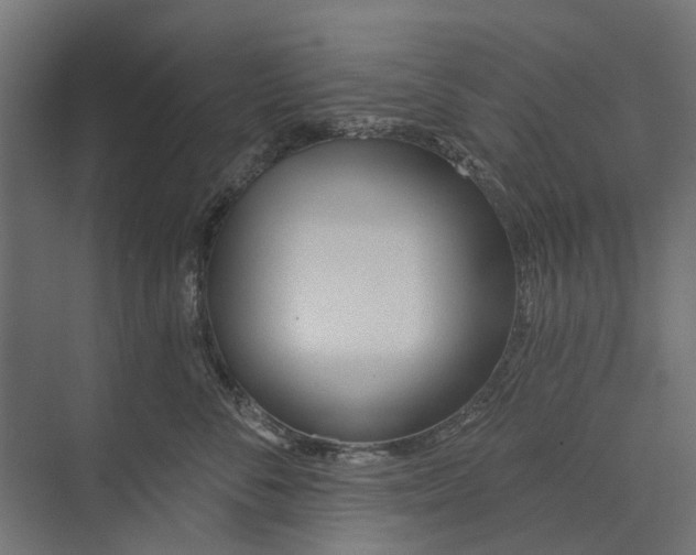 X0000073830716200608240951