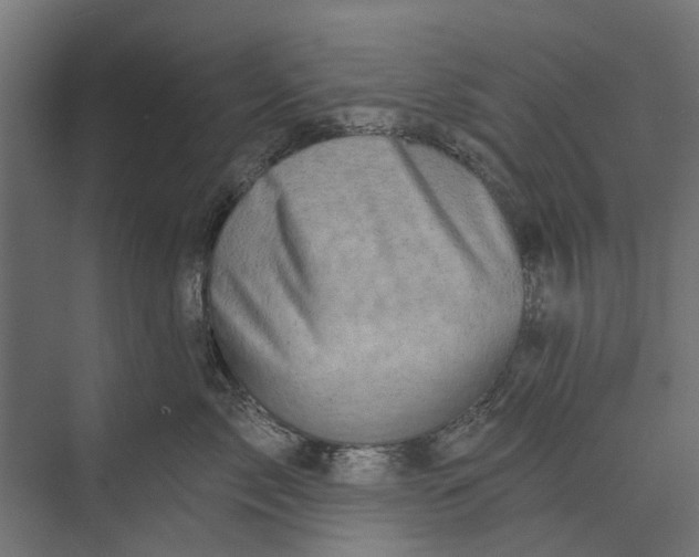 X0000073830717200608240951