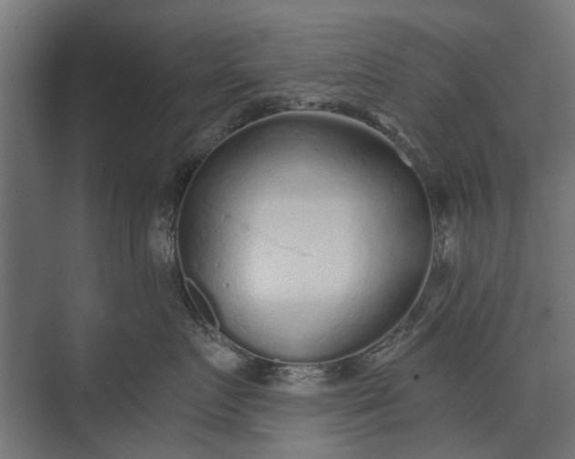 X0000073830719200608240951