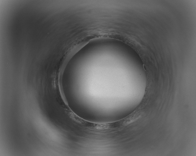 X0000073830720200608240951