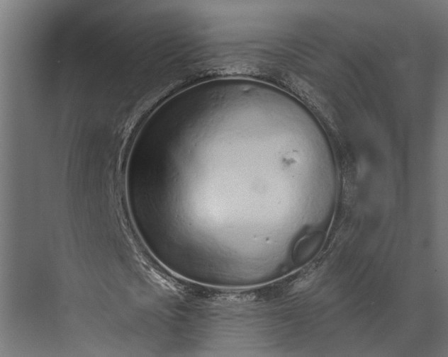 X0000073830721200608240950