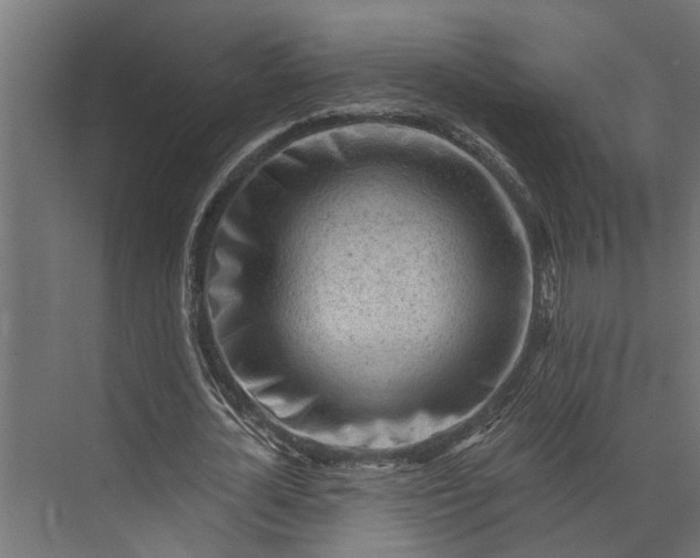 X0000073830724200608240950