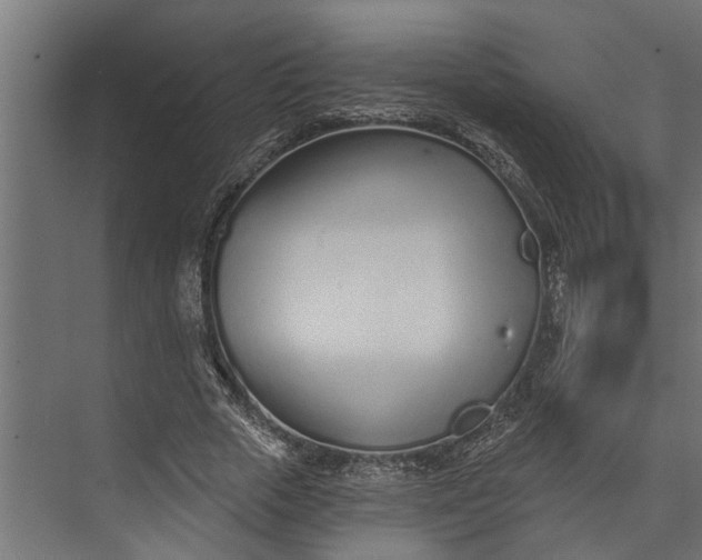 X0000073830729200608240950