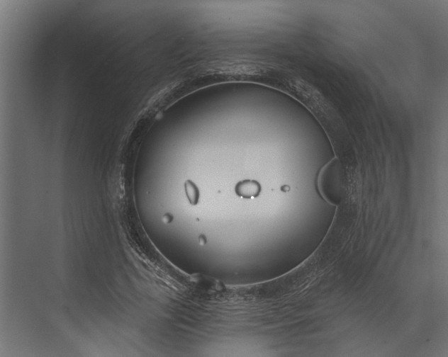 X0000073830731200608240950