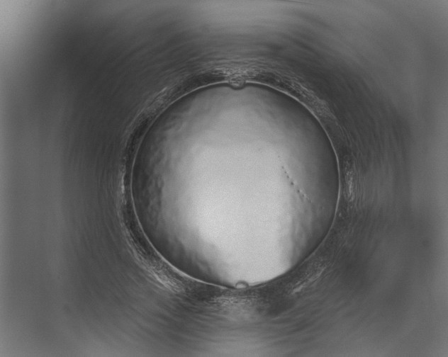 X0000073830733200608240950