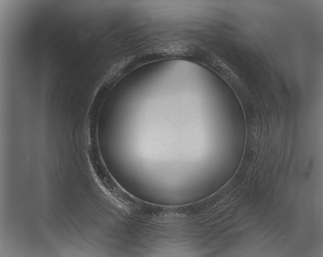 X0000073830734200608240950