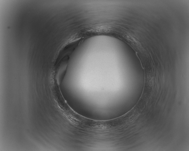 X0000073830735200608240950