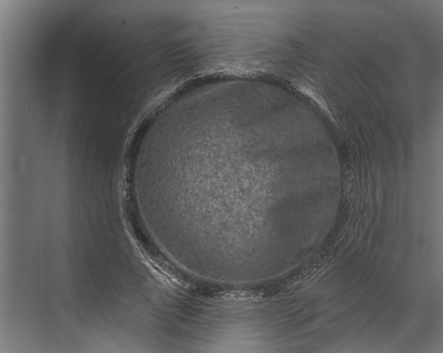 X0000073830736200608240950