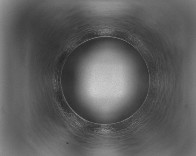 X0000073830743200608240950