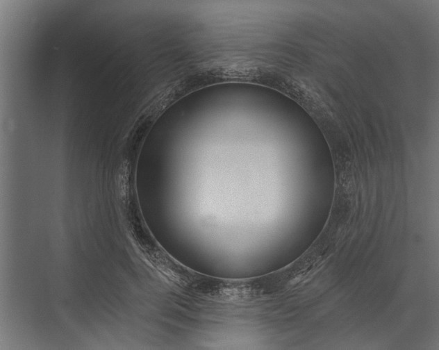 X0000073830744200608240950