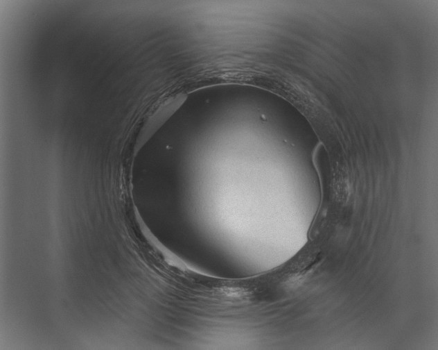 X0000073830748200608240950