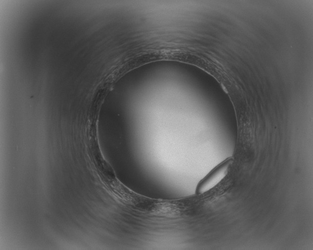 X0000073830750200608240950