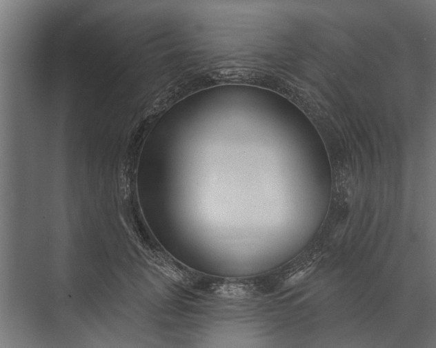 X0000073830751200608240950