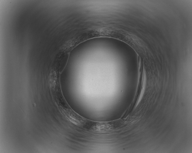 X0000073830752200608240950