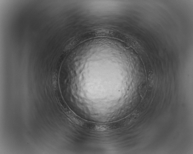 X0000073830753200608240950