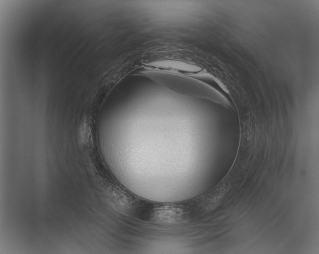 X0000073830754200608240950