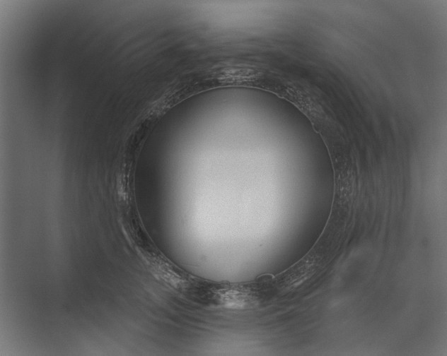 X0000073830755200608240950