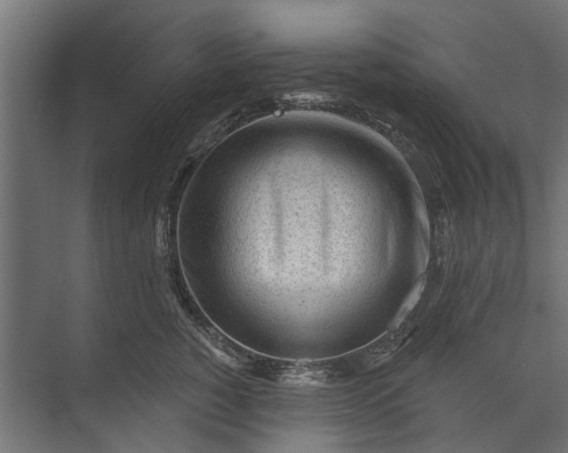 X0000073830760200608240950