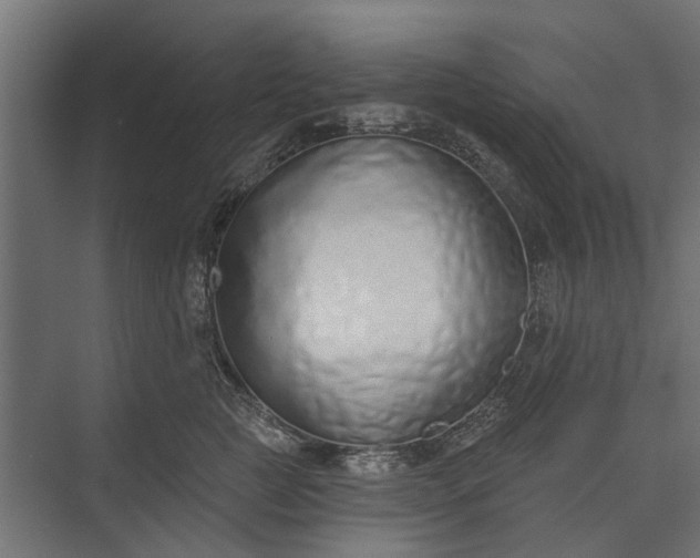 X0000073830761200608240950