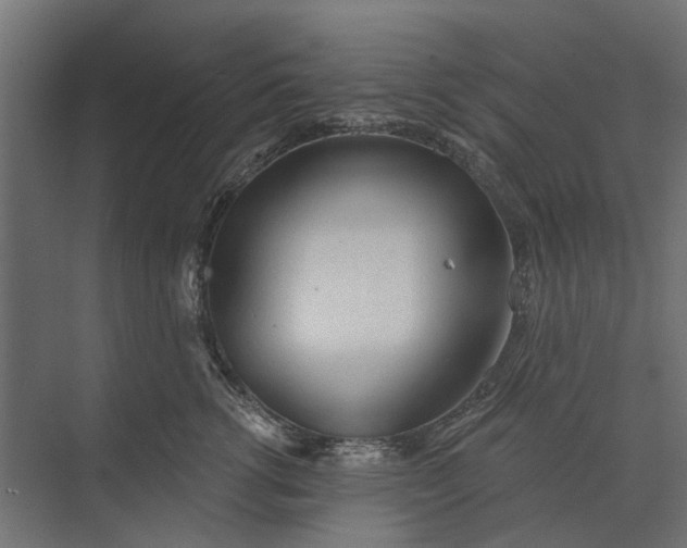 X0000073830762200608240951