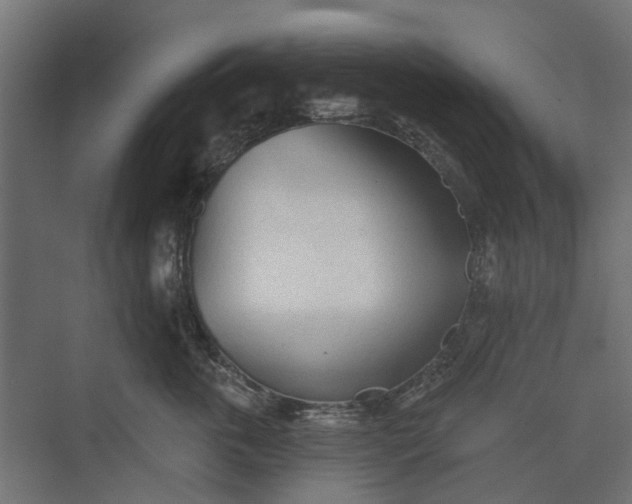 X0000073830763200608240951