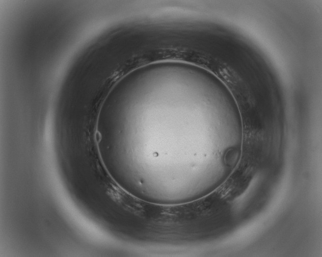 X0000073830765200608240951