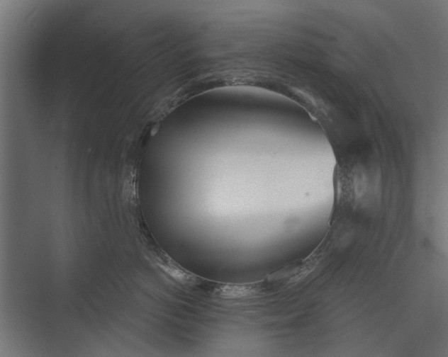 X0000073830766200608240951