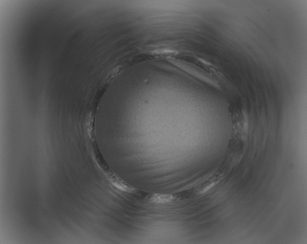 X0000073830767200608240951