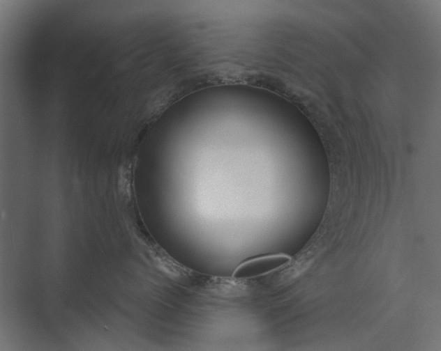 X0000073830768200608240951