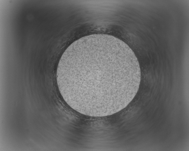 X0000073830769200608240950