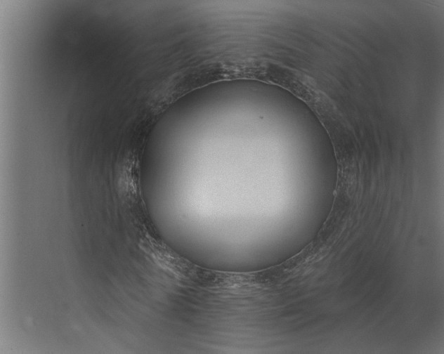 X0000073830770200608240950