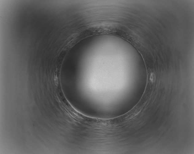 X0000073830771200608240950