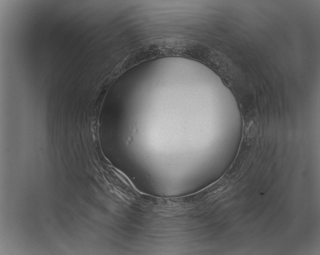 X0000073830772200608240950