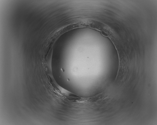 X0000073830773200608240950