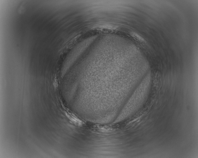 X0000073830774200608240950