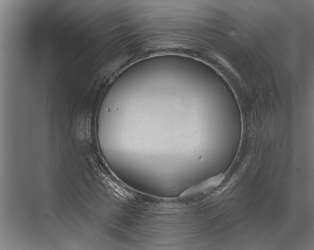 X0000073830777200608240950