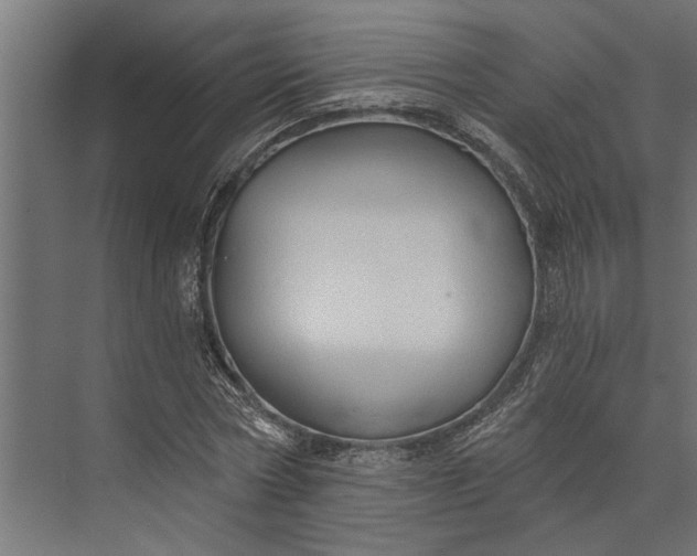 X0000073830778200608240950