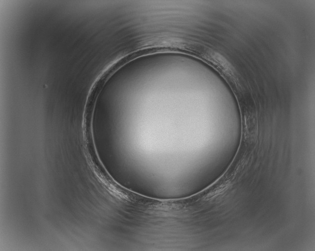 X0000073830780200608240950