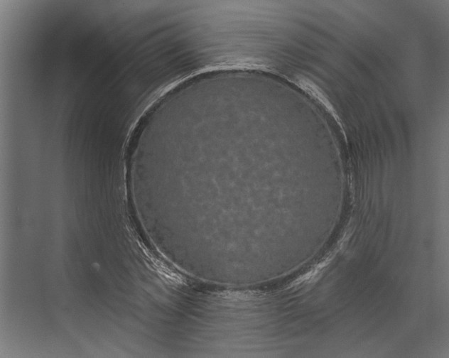 X0000073830781200608240950