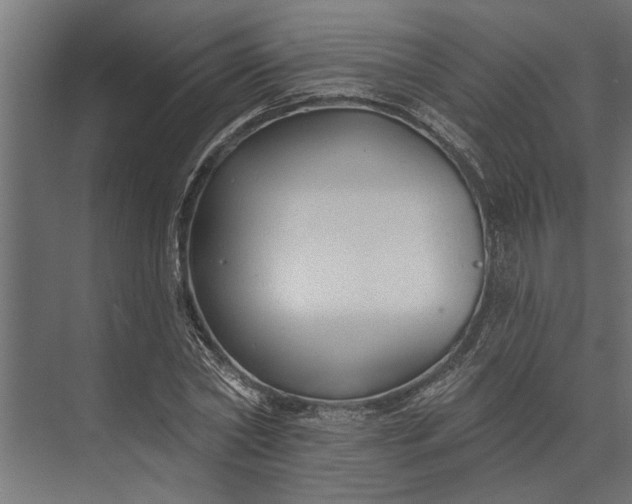 X0000073830782200608240950