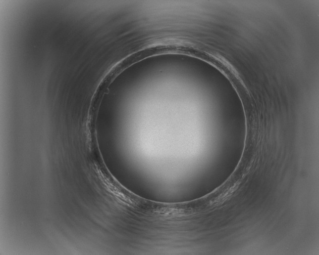 X0000073830783200608240950