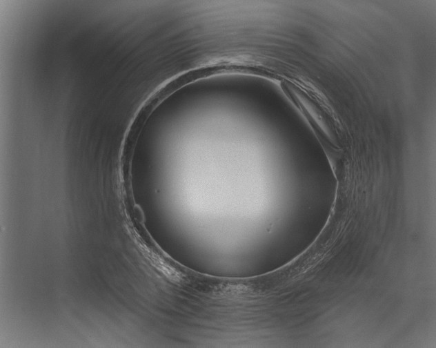 X0000073830784200608240950