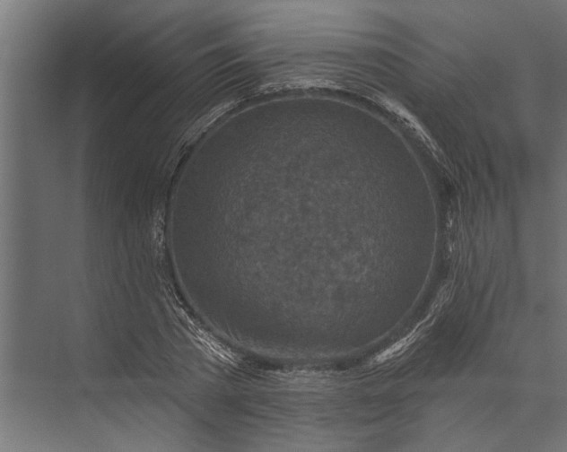 X0000073830785200608240950