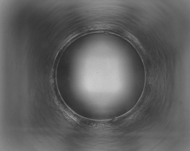 X0000073830786200608240950