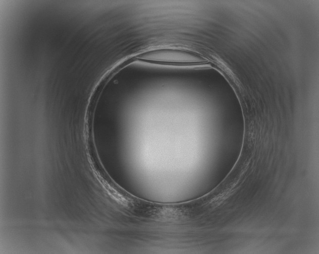 X0000073830787200608240950