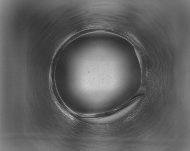 X0000073830788200608240949