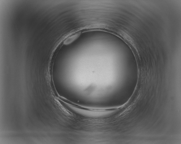 X0000073830789200608240949