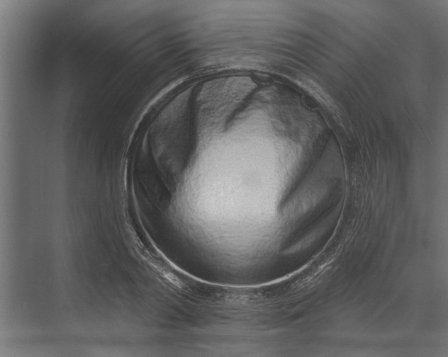 X0000073830790200608240949