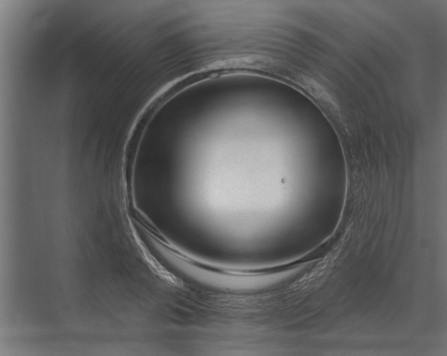 X0000073830792200608240949