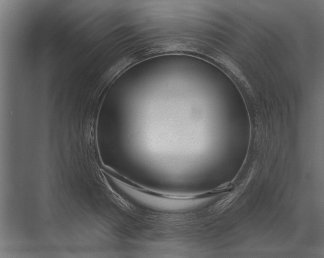 X0000073830793200608240949